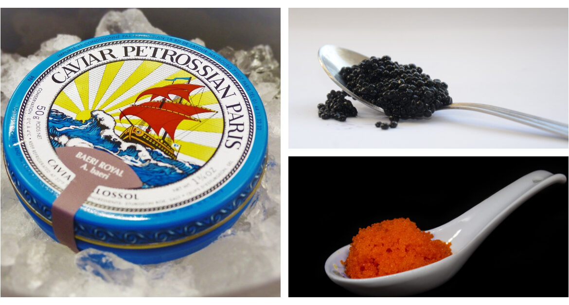 Types of caviar, luxury food