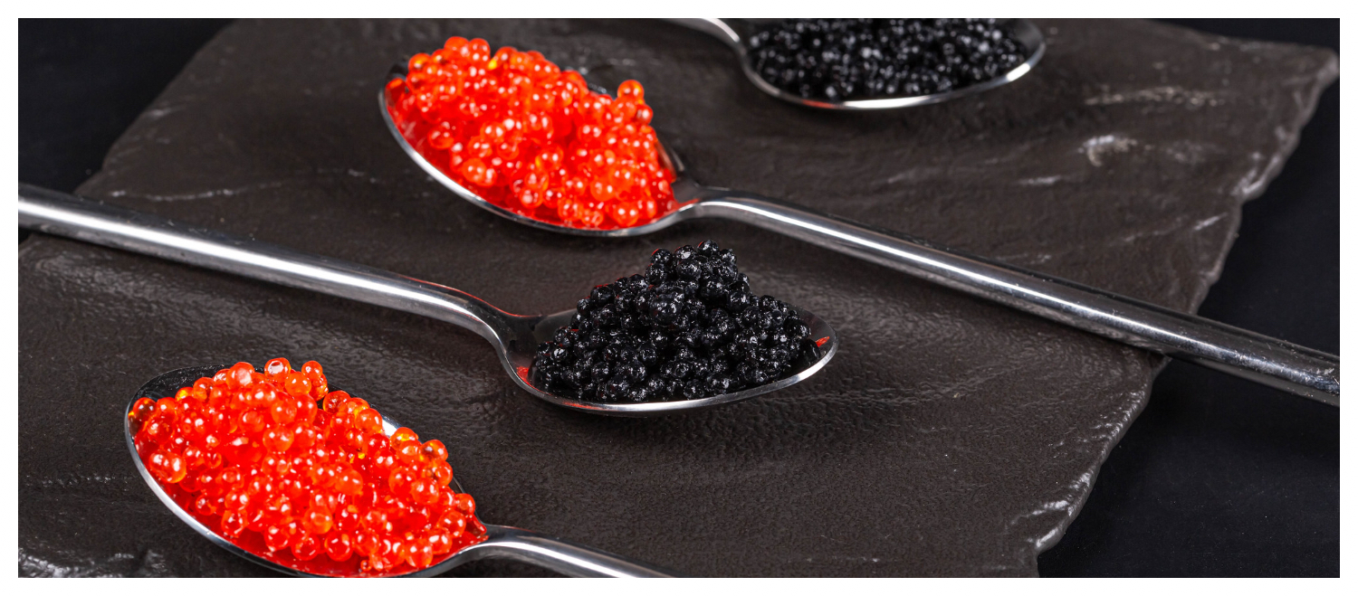Blac red caviar expensive almas beluga fish caviar